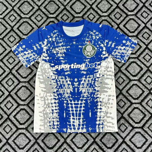 26-27 Palmeiras Goalkeeper Cheap Soccer Jerseys
