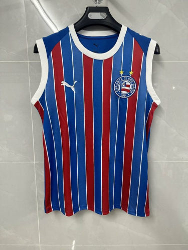 26-27 Bahia Away Training Soccer Vest