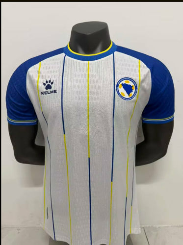 2026 2026 Bosnia and Herzegovina Home player version